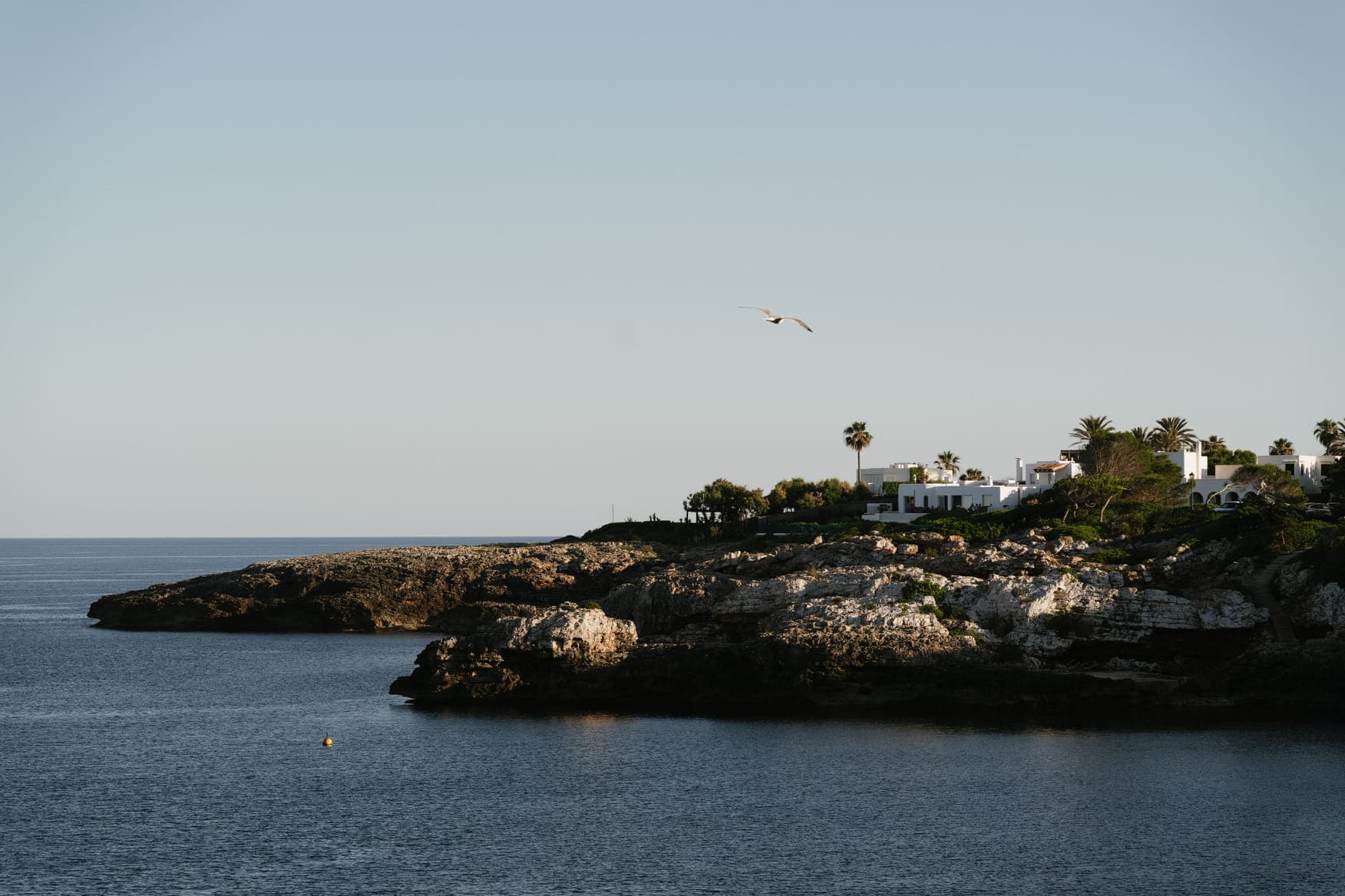 A scenic coastal landscape featuring rocky cliffs, white buildings, and palm trees overlooking a calm blue sea, with a bird flying in the clear sky.