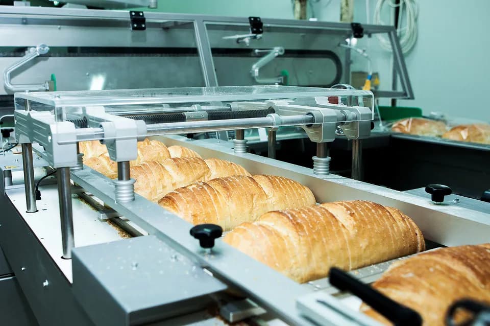 Scored bread loaves moving along an automated industrial conveyor line inside a commercial bakery facility.